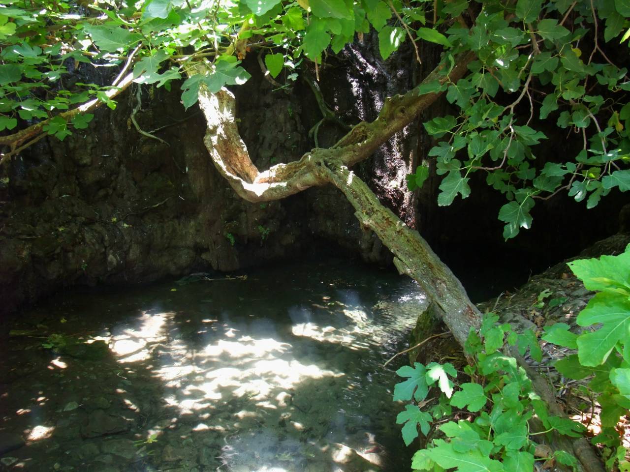 L'ile de Chypres: Chypres